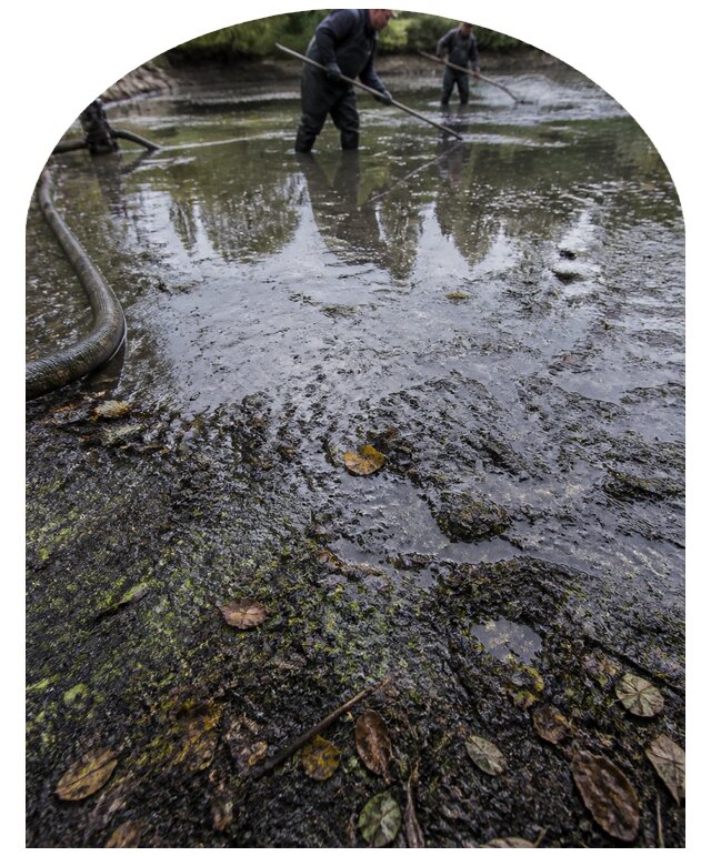 Очистка пруда в Кисловодске от ила мусора и водорослей с вывозом